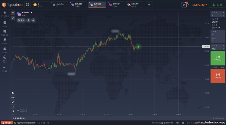 바이너리 옵션 외환