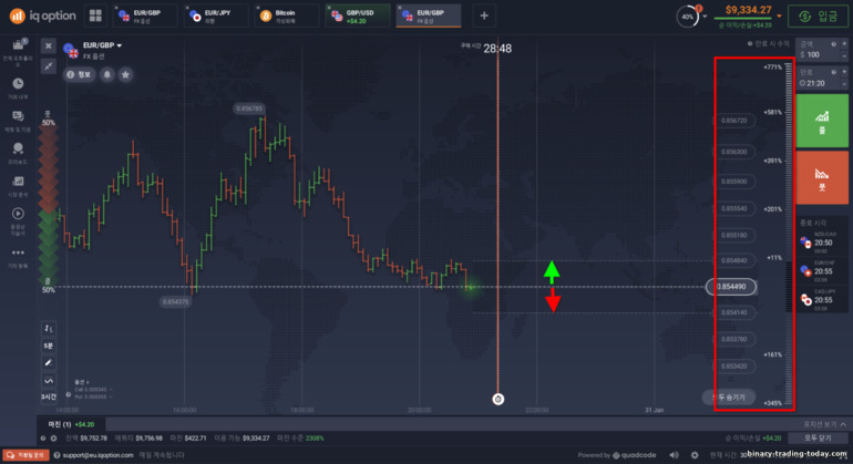 IQ Option 브로커의 FX 옵션 손실 영역