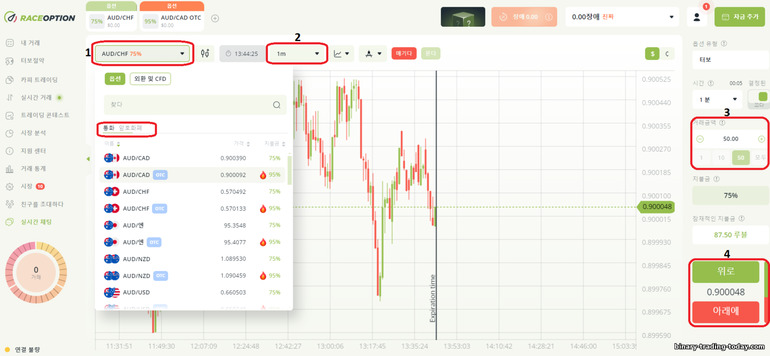 바이너리 옵션 브로커 RaceOption과 거래