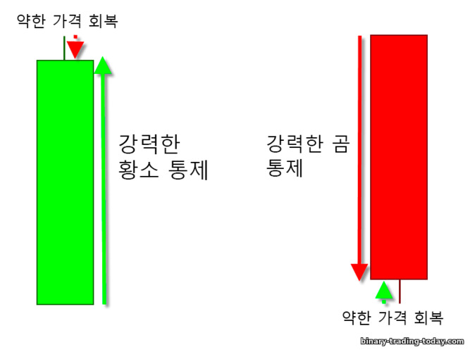 곰과 황소에 대한 강력한 통제