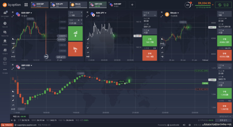 IQ Option 브로커에 차트 표시