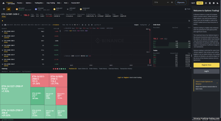 Binance 옵션 개요