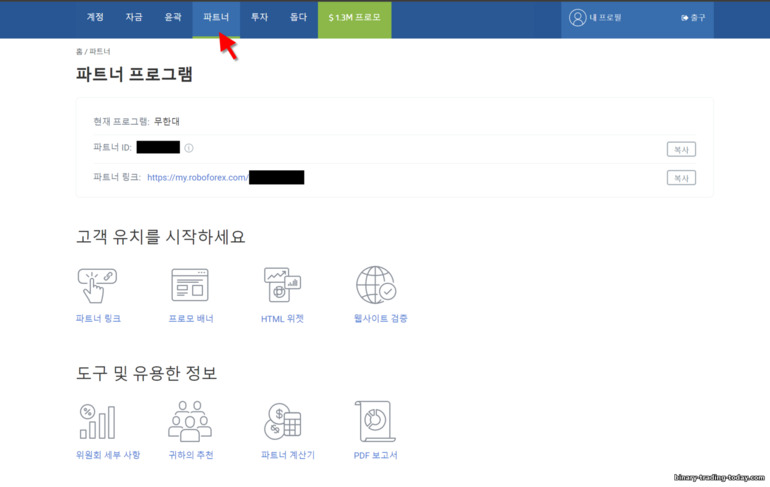 RoboForex 파트너십 프로그램
