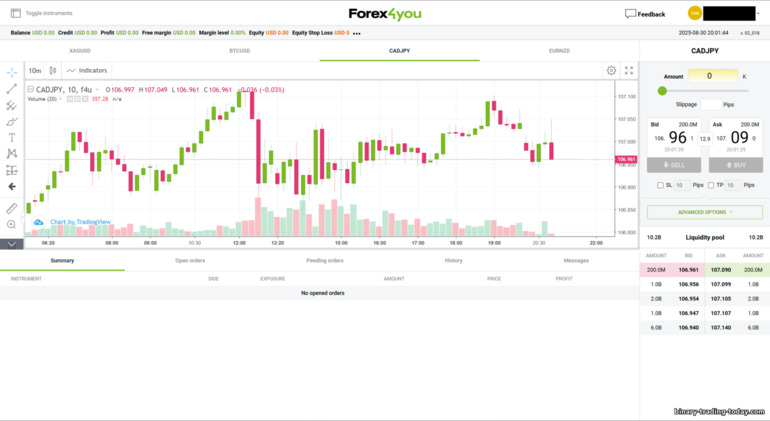 Forex4you WebTrader 플랫폼