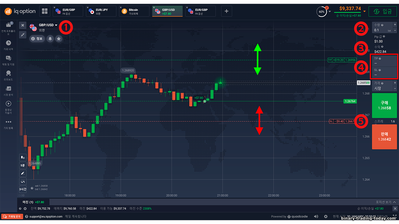 IQ Option 트레이딩 플랫폼